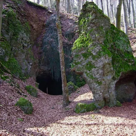 Romantic With Garden *