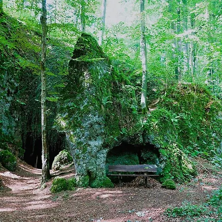 Romantic With Garden *