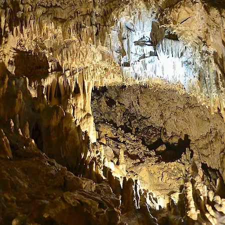 Romantic With Garden