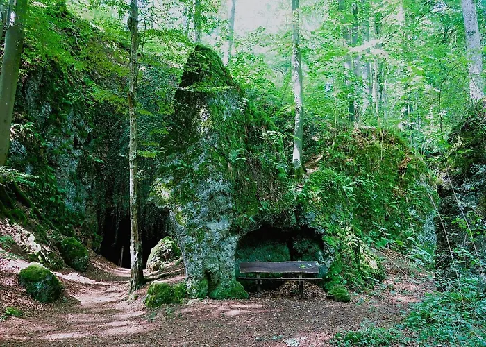 Romantic With Garden *